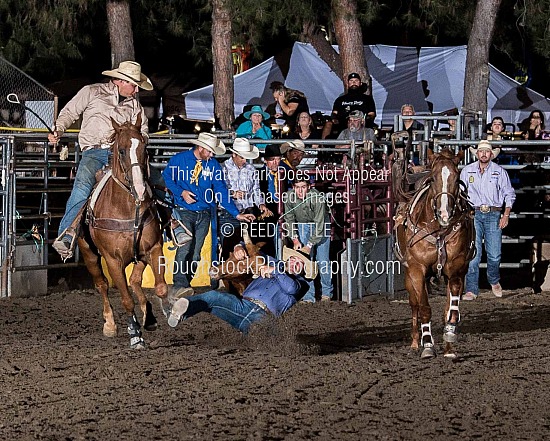 Steer Wrestling