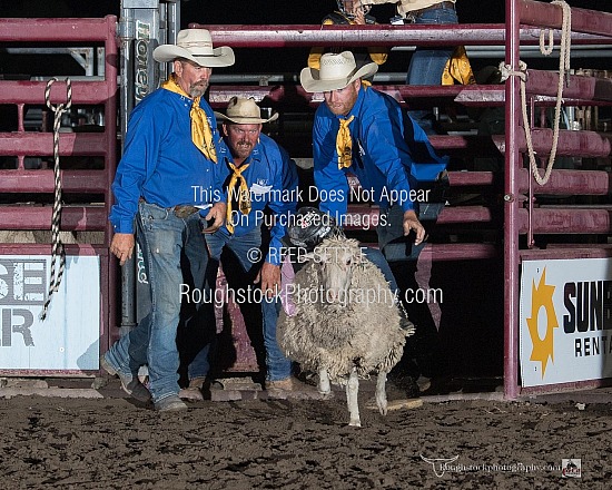 Mutton Bustin