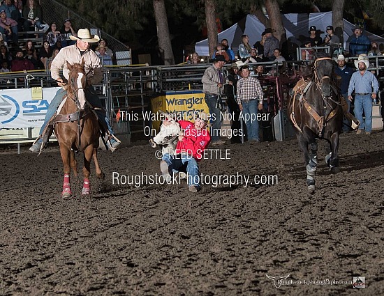 Steer Wrestling