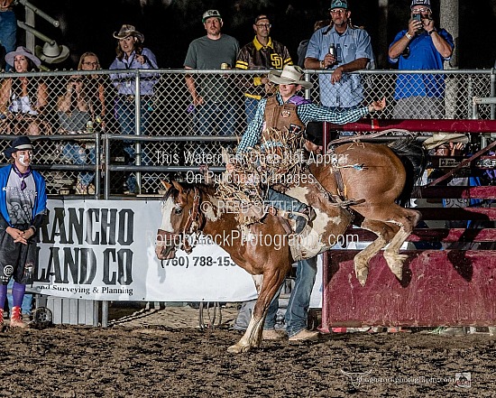 Saddle Broncs