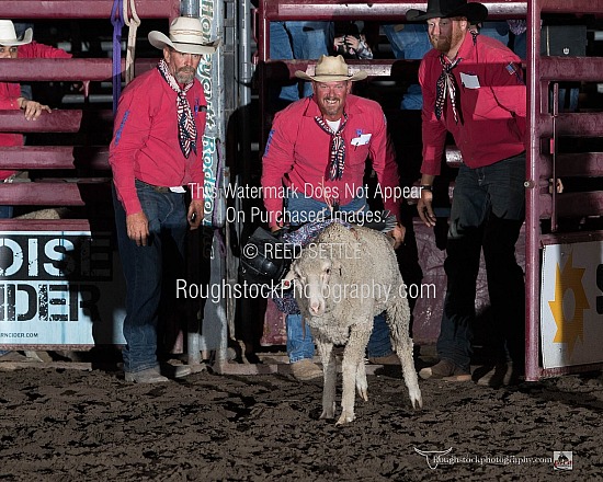 Mutton Bustin