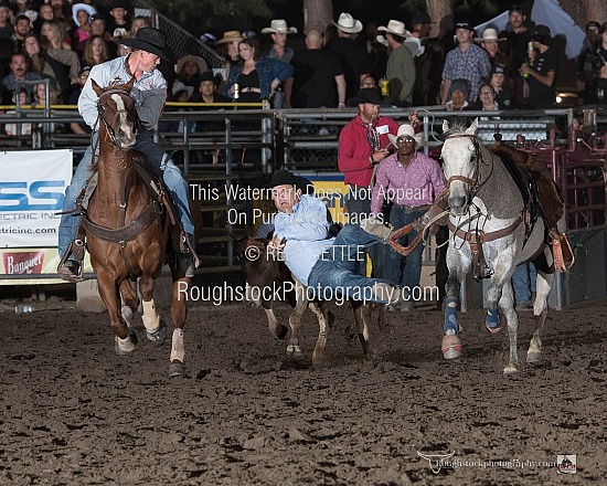 Steer Wrestling