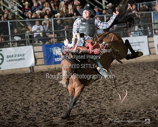 Saddle Broncs