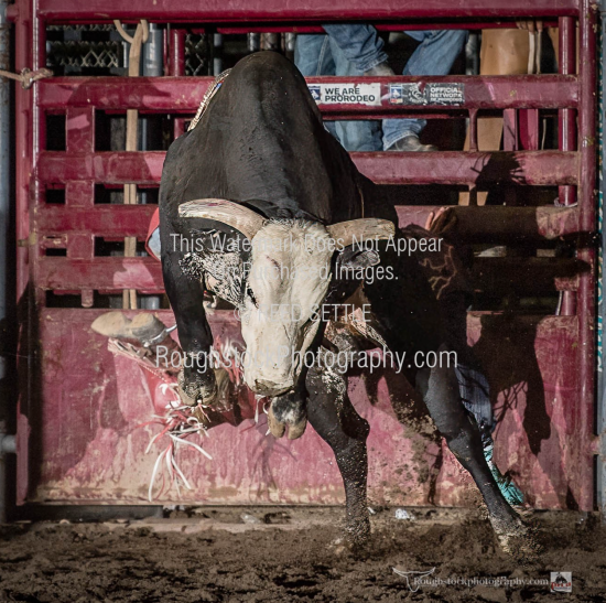 Roughstock