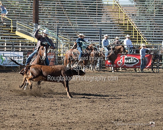 Team Roping