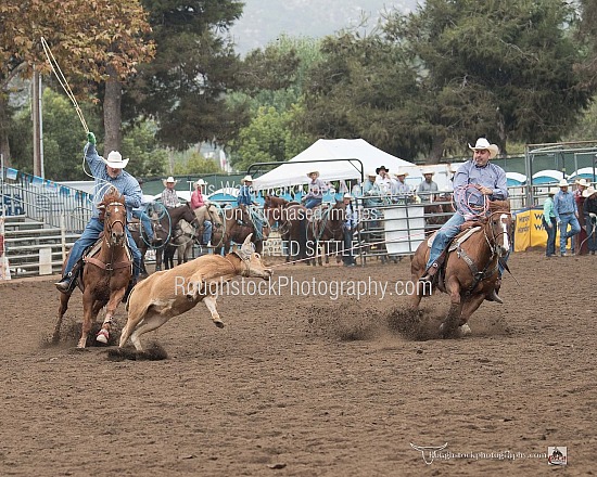 Team Roping