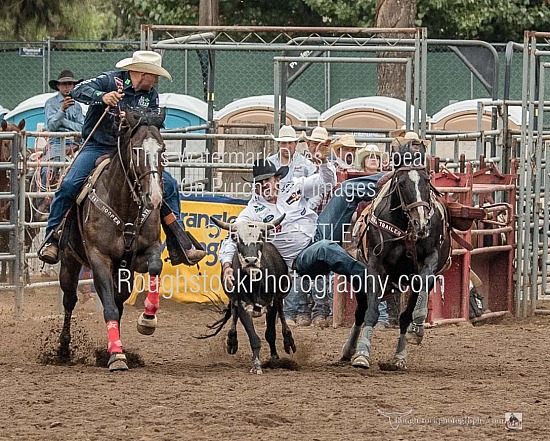 Steer Wrestling