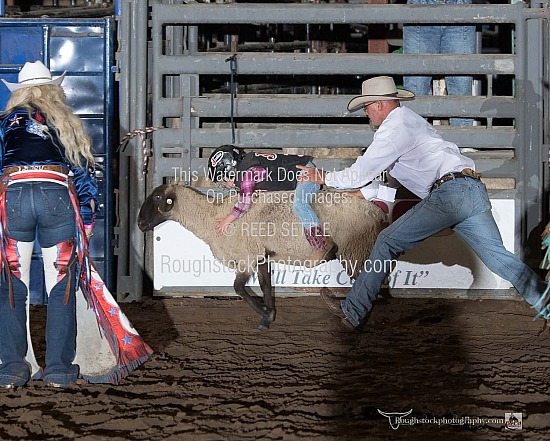 Mutton Bustin