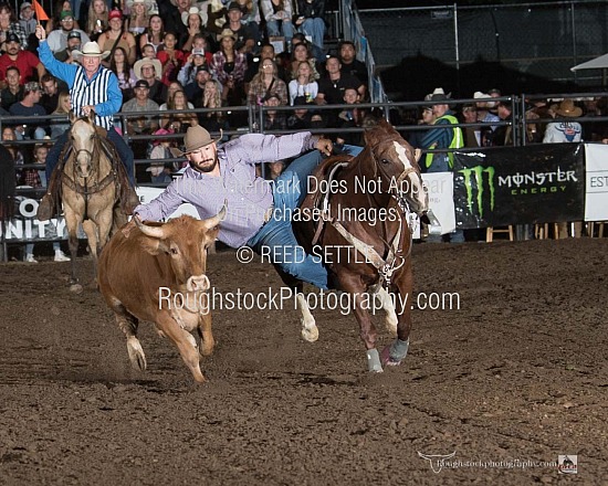 Steer Wrestling