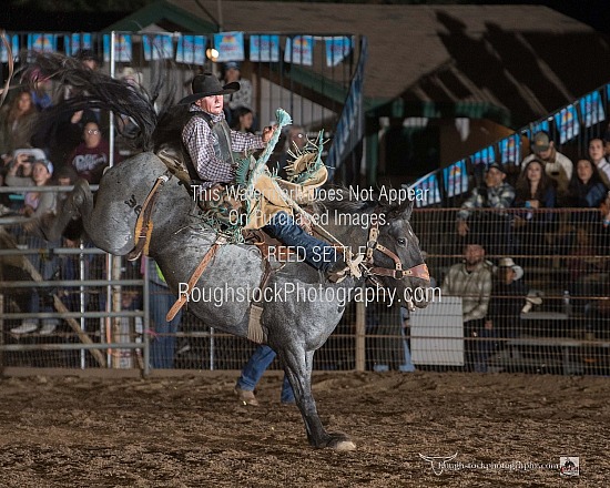 Saddle Bronc