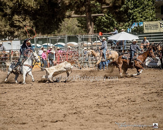 Team Roping