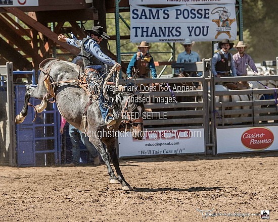 Saddle Bronc