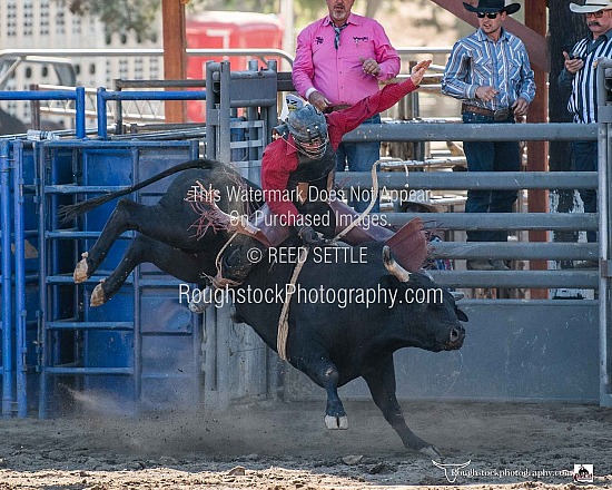 Bull Riding