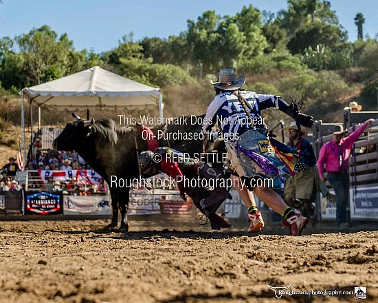 Bull Riding Camera 2