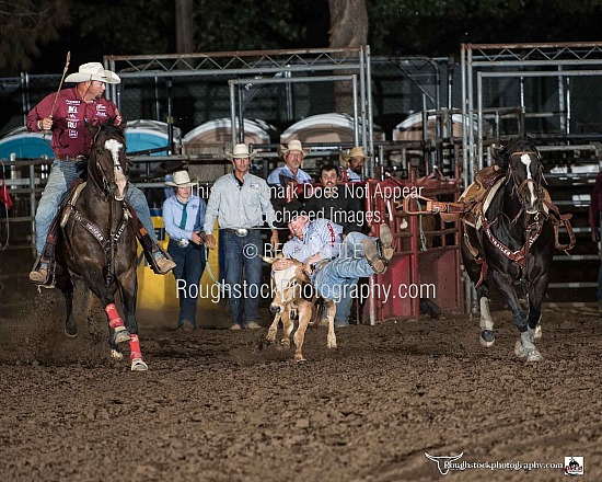 Steer Wrestling