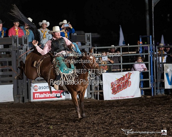 Saddle Bronc