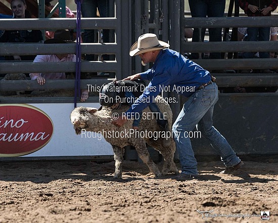 Mutton Bustin