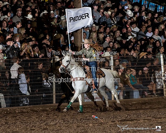 Sponsor Flags