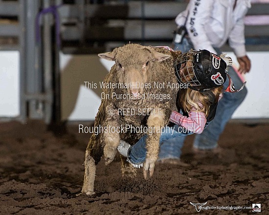 Mutton Bustin