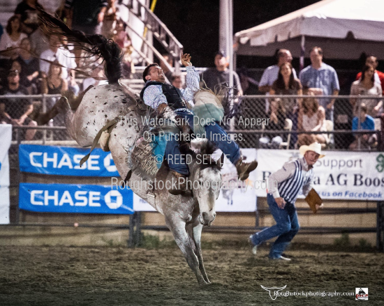 Yuma 2014 Photo Order