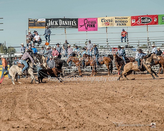 Team Roping