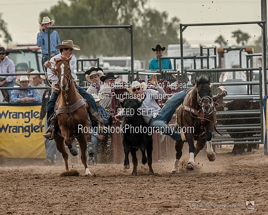 Steer Wrestling