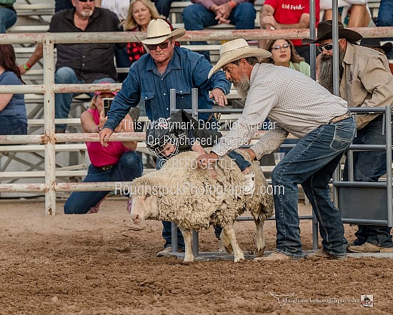 Mutton Bustin