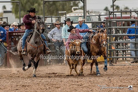 Steer Wrestling