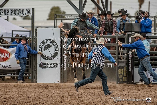 Saddle Bronc