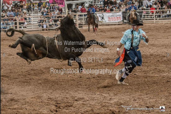 Roughstock