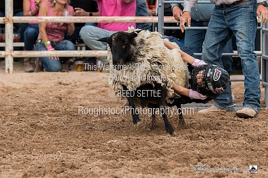 Mutton Bustin