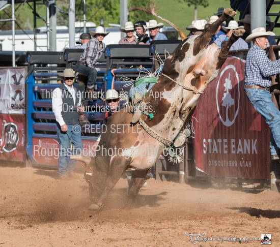 Bull Riding