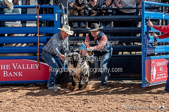 Mutton Bustin