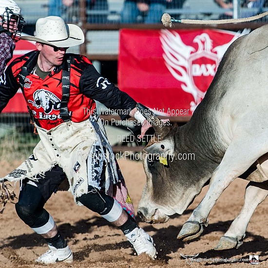 Bullfighters
