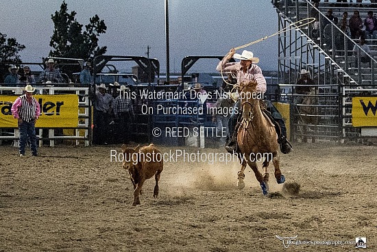 Tie Down Roping