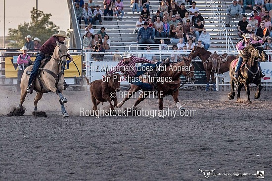 Steer Wrestling