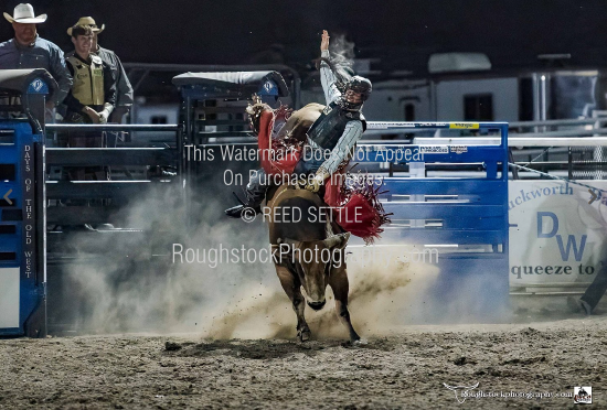 Roughstock