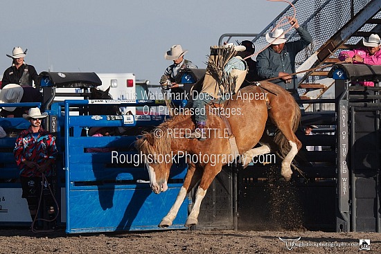 Bareback