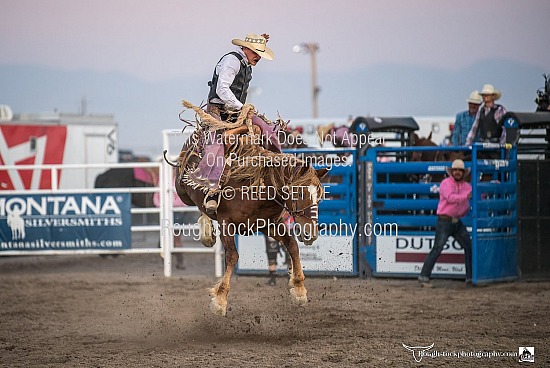 SaddleBronc