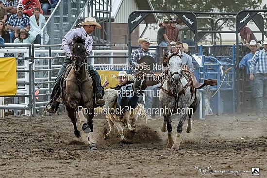 Steer Wrestling