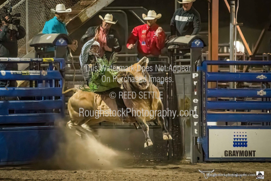 Roughstock