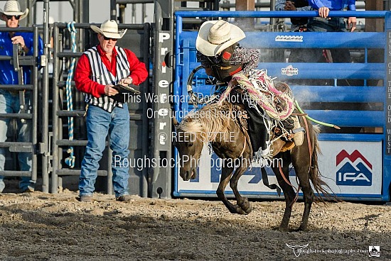 Pony Bronc Riding