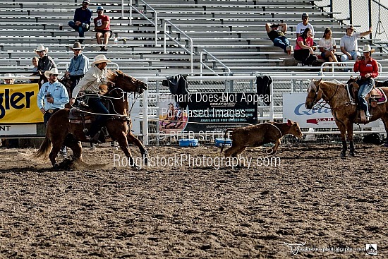 Tie Down Roping