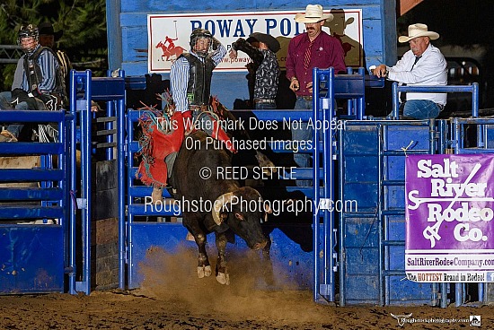 Bull Riding
