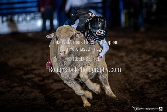 Mutton Bustin
