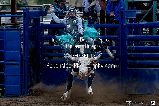 Bull Riding