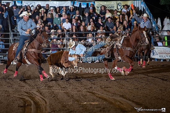 Steer Wrestling