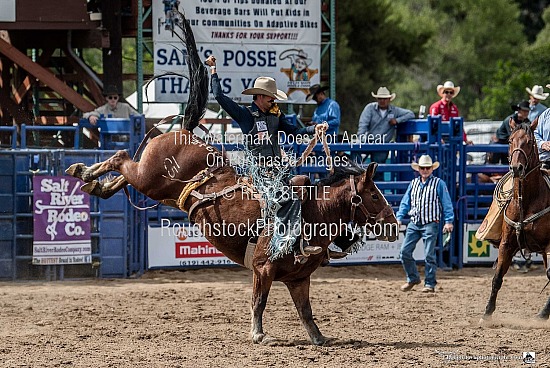 SaddleBronc