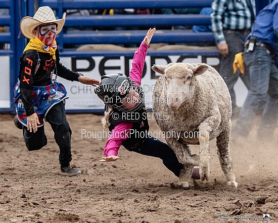 Mutton Bustin
