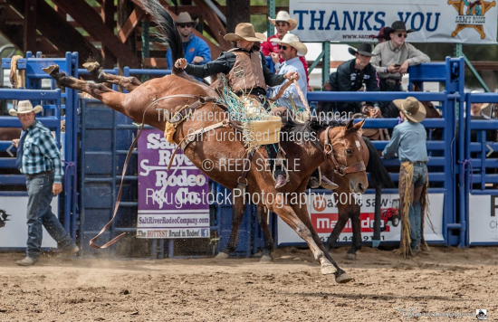 Roughstock